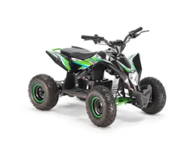 48V Elektro Kinder Quad ATV grün 1300W und Lithiumakku