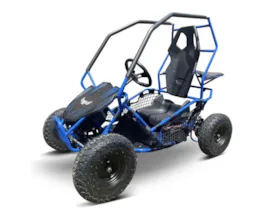 36V Elektro Kinder Quad Buggy blau mit 1000W