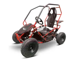 36V Elektro Kinder Quad Buggy rot mit 1000W