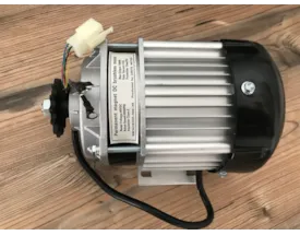 Motor für GoKart 48V mit 1000W Brushless